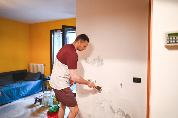 Denair, CA Mold Removal Company